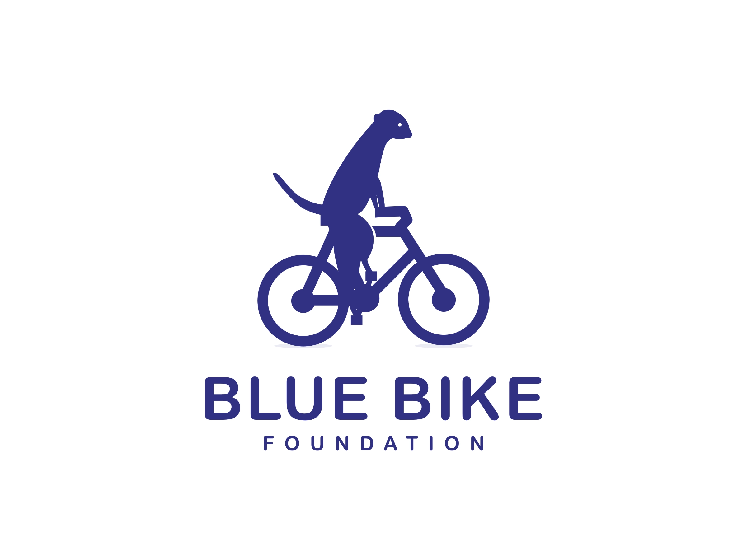 Blue Bike Foundation logo