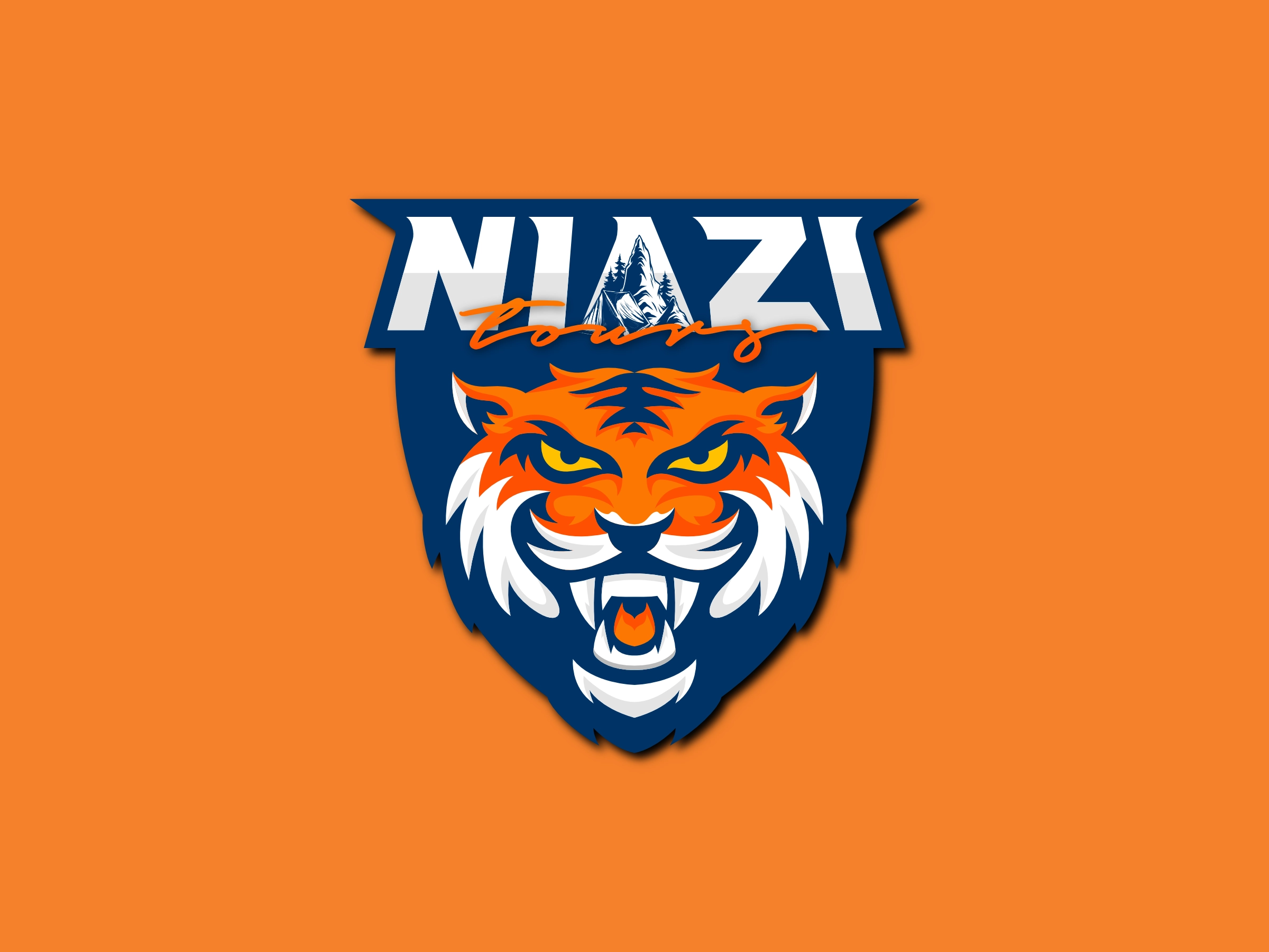 Niazi Tours logo