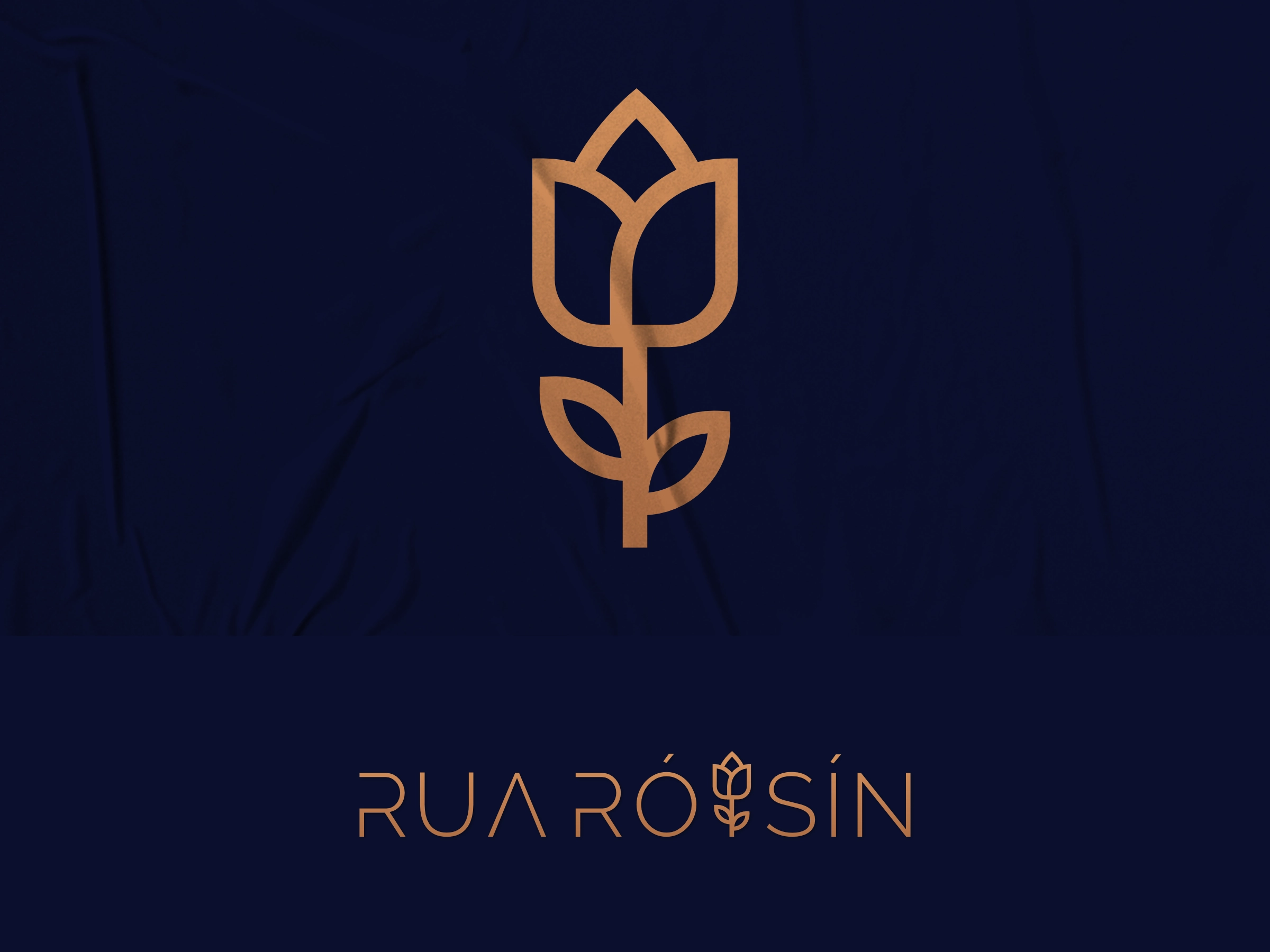 Rua Roysin logo